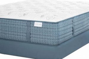 Why Aireloom King Mattress? Best Sleep Ever! Organic & Natural Mattress Buyer’s Guide: Non-Toxic Sleep Solutions Why Aireloom King Mattress? Best Sleep Ever! | Organic & Natural Mattress Buyer’s Guide: Non-Toxic Sleep Solutions