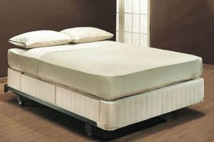 Best Mattress Foundations King Size: Support & Comfort Organic & Natural Mattress Buyer’s Guide: Non-Toxic Sleep Solutions Best Mattress Foundations King Size: Support & Comfort | Organic & Natural Mattress Buyer’s Guide: Non-Toxic Sleep Solutions
