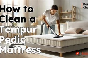 Easy How to Clean Tempur-Pedic Mattress: Tips & Tricks Organic & Natural Mattress Buyer’s Guide: Non-Toxic Sleep Solutions Easy How to Clean Tempur-Pedic Mattress: Tips & Tricks | Organic & Natural Mattress Buyer’s Guide: Non-Toxic Sleep Solutions