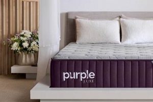 Discover Your Dream King Mattress Purple Oasis Now! Organic & Natural Mattress Buyer’s Guide: Non-Toxic Sleep Solutions Discover Your Dream King Mattress Purple Oasis Now! | Organic & Natural Mattress Buyer’s Guide: Non-Toxic Sleep Solutions