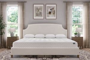 Discover: Alberta King Mattress - Ultimate Comfort Awaits Organic & Natural Mattress Buyer’s Guide: Non-Toxic Sleep Solutions Discover: Alberta King Mattress - Ultimate Comfort Awaits | Organic & Natural Mattress Buyer’s Guide: Non-Toxic Sleep Solutions