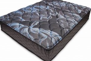 Best Double Sided King Mattress for Lasting Comfort Organic & Natural Mattress Buyer’s Guide: Non-Toxic Sleep Solutions Best Double Sided King Mattress for Lasting Comfort | Organic & Natural Mattress Buyer’s Guide: Non-Toxic Sleep Solutions