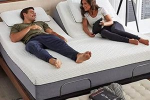 Best Flex Top King Mattress [Guide] for Couples | Organic & Natural Mattress Buyer’s Guide: Non-Toxic Sleep Solutions