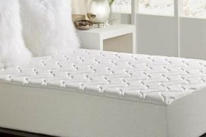 Best Twin XL Memory Foam Mattress [Guide] | Organic & Natural Mattress Buyer’s Guide: Non-Toxic Sleep Solutions
