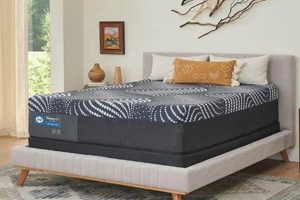 Sealy Hybrid King Mattress: Best Bedding Solution Organic & Natural Mattress Buyer’s Guide: Non-Toxic Sleep Solutions Sealy Hybrid King Mattress: Best Bedding Solution | Organic & Natural Mattress Buyer’s Guide: Non-Toxic Sleep Solutions