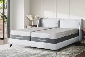 Best Split King Mattress Only: Size & Comfort Guide Organic & Natural Mattress Buyer’s Guide: Non-Toxic Sleep Solutions Best Split King Mattress Only: Size & Comfort Guide | Organic & Natural Mattress Buyer’s Guide: Non-Toxic Sleep Solutions