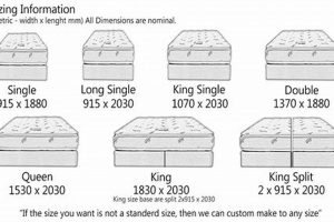 King Size Guide: Australian King Size Mattress Measurements + Tips Organic & Natural Mattress Buyer’s Guide: Non-Toxic Sleep Solutions King Size Guide: Australian King Size Mattress Measurements + Tips | Organic & Natural Mattress Buyer’s Guide: Non-Toxic Sleep Solutions