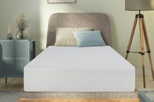 Best Twin XL Foam Mattress [Guide] For Comfort | Organic & Natural Mattress Buyer’s Guide: Non-Toxic Sleep Solutions