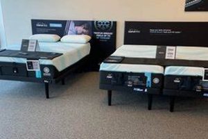 Mattress Firm King of Prussia: Sleep Like Royalty! Organic & Natural Mattress Buyer’s Guide: Non-Toxic Sleep Solutions Mattress Firm King of Prussia: Sleep Like Royalty! | Organic & Natural Mattress Buyer’s Guide: Non-Toxic Sleep Solutions