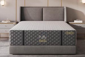 Best Puffy King Mattress [Guide] Sleep Like a King! | Organic & Natural Mattress Buyer’s Guide: Non-Toxic Sleep Solutions