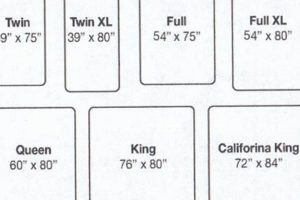 California King Mattress: Price, Size & Cost Guide Organic & Natural Mattress Buyer’s Guide: Non-Toxic Sleep Solutions California King Mattress: Price, Size & Cost Guide | Organic & Natural Mattress Buyer’s Guide: Non-Toxic Sleep Solutions