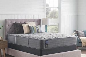 Best King Mattress Posturepedic: Sleep Soundly! Organic & Natural Mattress Buyer’s Guide: Non-Toxic Sleep Solutions Best King Mattress Posturepedic: Sleep Soundly! | Organic & Natural Mattress Buyer’s Guide: Non-Toxic Sleep Solutions