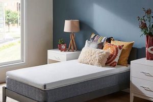 Enhance Comfort! Tempurpedic Mattress Pad Twin XL Comfort Organic & Natural Mattress Buyer’s Guide: Non-Toxic Sleep Solutions Enhance Comfort! Tempurpedic Mattress Pad Twin XL Comfort | Organic & Natural Mattress Buyer’s Guide: Non-Toxic Sleep Solutions