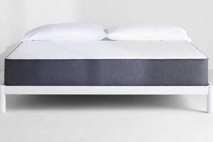 Find Your Perfect Casper California King Mattress Today! Organic & Natural Mattress Buyer’s Guide: Non-Toxic Sleep Solutions Find Your Perfect Casper California King Mattress Today! | Organic & Natural Mattress Buyer’s Guide: Non-Toxic Sleep Solutions