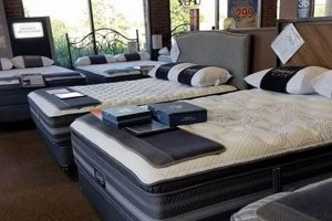 Nashville Mattress King: Find Your Perfect Bed! Organic & Natural Mattress Buyer’s Guide: Non-Toxic Sleep Solutions Nashville Mattress King: Find Your Perfect Bed! | Organic & Natural Mattress Buyer’s Guide: Non-Toxic Sleep Solutions