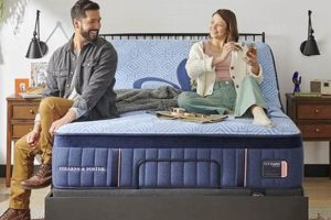 Stearns & Foster Split King Mattress: Ultimate Comfort? Organic & Natural Mattress Buyer’s Guide: Non-Toxic Sleep Solutions Stearns & Foster Split King Mattress: Ultimate Comfort? | Organic & Natural Mattress Buyer’s Guide: Non-Toxic Sleep Solutions