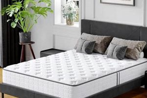 Best Twin XL Hybrid Mattress for Taller Sleepers in 2024 Organic & Natural Mattress Buyer’s Guide: Non-Toxic Sleep Solutions Best Twin XL Hybrid Mattress for Taller Sleepers in 2024 | Organic & Natural Mattress Buyer’s Guide: Non-Toxic Sleep Solutions
