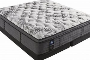 Best Sealy Posturepedic King Mattress [Guide] | Organic & Natural Mattress Buyer’s Guide: Non-Toxic Sleep Solutions