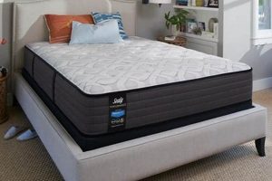Best Mattress Set King Size: Find Your Dream Bed Organic & Natural Mattress Buyer’s Guide: Non-Toxic Sleep Solutions Best Mattress Set King Size: Find Your Dream Bed | Organic & Natural Mattress Buyer’s Guide: Non-Toxic Sleep Solutions