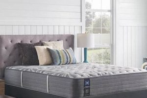 Best Sealy Posturepedic King Mattress? Our Review + Guide Organic & Natural Mattress Buyer’s Guide: Non-Toxic Sleep Solutions Best Sealy Posturepedic King Mattress? Our Review + Guide | Organic & Natural Mattress Buyer’s Guide: Non-Toxic Sleep Solutions