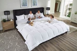 Find Your Dream: Where to Buy Alaskan King Mattress Today! | Organic & Natural Mattress Buyer’s Guide: Non-Toxic Sleep Solutions