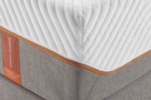 Unlocking Tempur King Mattress Price: What to Know Now! Organic & Natural Mattress Buyer’s Guide: Non-Toxic Sleep Solutions Unlocking Tempur King Mattress Price: What to Know Now! | Organic & Natural Mattress Buyer’s Guide: Non-Toxic Sleep Solutions