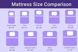 Twin XL Mattress Size: How Big Is It Exactly? Guide Organic & Natural Mattress Buyer’s Guide: Non-Toxic Sleep Solutions Twin XL Mattress Size: How Big Is It Exactly? Guide | Organic & Natural Mattress Buyer’s Guide: Non-Toxic Sleep Solutions