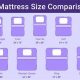 Twin XL Mattress Size: How Big Is It Exactly? Guide | Organic & Natural Mattress Buyer’s Guide: Non-Toxic Sleep Solutions