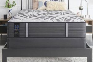 Best Sealy King Size Mattress [Sleep Better Now!] | Organic & Natural Mattress Buyer’s Guide: Non-Toxic Sleep Solutions