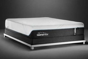 Best King Mattress Tempurpedic: Comfort & Support | Organic & Natural Mattress Buyer’s Guide: Non-Toxic Sleep Solutions
