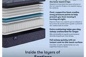 Serta Santiago King Mattress: Comfort & Reviews [Year] | Organic & Natural Mattress Buyer’s Guide: Non-Toxic Sleep Solutions