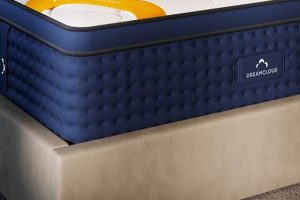 DreamCloud King Mattress: The Ultimate Sleep | Review Organic & Natural Mattress Buyer’s Guide: Non-Toxic Sleep Solutions DreamCloud King Mattress: The Ultimate Sleep | Review | Organic & Natural Mattress Buyer’s Guide: Non-Toxic Sleep Solutions