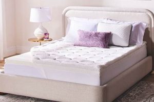 Best Serta Mattress Topper Twin XL [For Comfy Sleep!] | Organic & Natural Mattress Buyer’s Guide: Non-Toxic Sleep Solutions