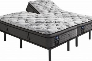 Best Split Mattress King: Comfort & Value Guide! | Organic & Natural Mattress Buyer’s Guide: Non-Toxic Sleep Solutions