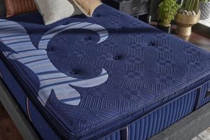 Find Your Dream Stearns & Foster Mattress | Mattress King | Organic & Natural Mattress Buyer’s Guide: Non-Toxic Sleep Solutions