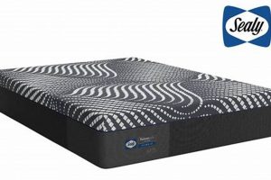 Sealy King Mattress Size: Guide & Dimensions | Organic & Natural Mattress Buyer’s Guide: Non-Toxic Sleep Solutions