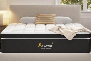 Best California King Hybrid Mattress [Guide & Reviews] | Organic & Natural Mattress Buyer’s Guide: Non-Toxic Sleep Solutions