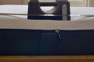 Emma King Mattress: Unbeatable Comfort & Sleep! | Organic & Natural Mattress Buyer’s Guide: Non-Toxic Sleep Solutions