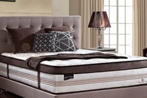 Shop Eco Bamboo King Size Mattress: Sleep Like a King! Organic & Natural Mattress Buyer’s Guide: Non-Toxic Sleep Solutions Shop Eco Bamboo King Size Mattress: Sleep Like a King! | Organic & Natural Mattress Buyer’s Guide: Non-Toxic Sleep Solutions