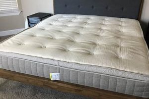 Why a California King Mattress is King Size Bedding Organic & Natural Mattress Buyer’s Guide: Non-Toxic Sleep Solutions Why a California King Mattress is King Size Bedding | Organic & Natural Mattress Buyer’s Guide: Non-Toxic Sleep Solutions