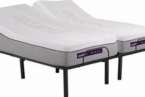 Is Purple Split King Mattress Right For You? Review Organic & Natural Mattress Buyer’s Guide: Non-Toxic Sleep Solutions Is Purple Split King Mattress Right For You? Review | Organic & Natural Mattress Buyer’s Guide: Non-Toxic Sleep Solutions