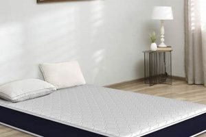 Best King Size Floor Mattress [Guide] Comfort Now! | Organic & Natural Mattress Buyer’s Guide: Non-Toxic Sleep Solutions