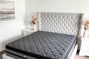 Deals on King Mattress Clearance? Find it here! Organic & Natural Mattress Buyer’s Guide: Non-Toxic Sleep Solutions Deals on King Mattress Clearance? Find it here! | Organic & Natural Mattress Buyer’s Guide: Non-Toxic Sleep Solutions