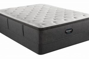 Buy Beautyrest Silver Mattress King: [YEAR] Comfort! | Organic & Natural Mattress Buyer’s Guide: Non-Toxic Sleep Solutions