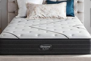 The Ultimate Black King Mattress Guide (Sleep Like Royalty!) | Organic & Natural Mattress Buyer’s Guide: Non-Toxic Sleep Solutions