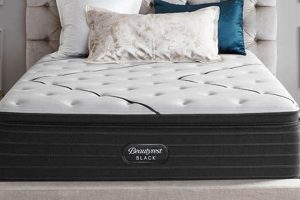 Best King Size Beautyrest Mattress: Comfort & Support Organic & Natural Mattress Buyer’s Guide: Non-Toxic Sleep Solutions Best King Size Beautyrest Mattress: Comfort & Support | Organic & Natural Mattress Buyer’s Guide: Non-Toxic Sleep Solutions