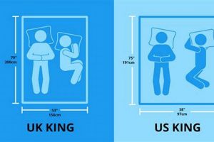 King Mattress Size Guide: What is the Size of a King Size Mattress? Dimensions & More! Organic & Natural Mattress Buyer’s Guide: Non-Toxic Sleep Solutions King Mattress Size Guide: What is the Size of a King Size Mattress? Dimensions & More! | Organic & Natural Mattress Buyer’s Guide: Non-Toxic Sleep Solutions
