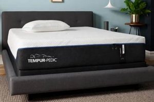Best Tempur-Pedic Twin XL Mattress: Ultimate XL Comfort! | Organic & Natural Mattress Buyer’s Guide: Non-Toxic Sleep Solutions