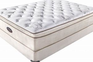 Best Simmons King Mattress [2024 Review] | Organic & Natural Mattress Buyer’s Guide: Non-Toxic Sleep Solutions