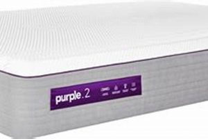 Best Purple California King Mattress [Guide & Review] | Organic & Natural Mattress Buyer’s Guide: Non-Toxic Sleep Solutions